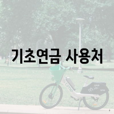기초연금 사용처