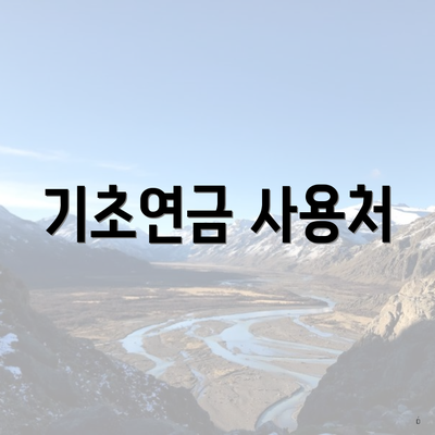 기초연금 사용처