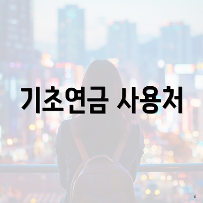 기초연금 사용처