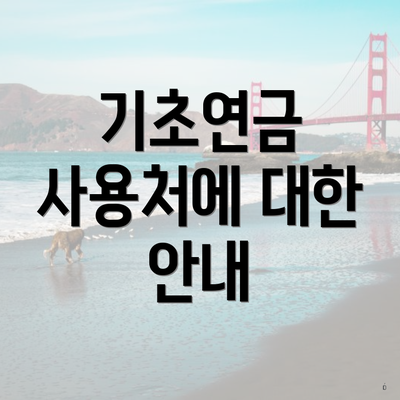 기초연금 사용처에 대한 안내