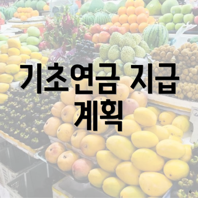 기초연금 지급 계획