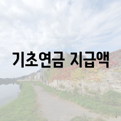 기초연금 지급액