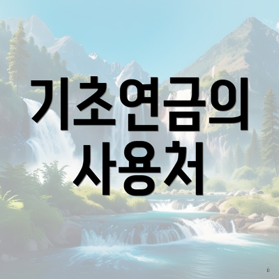 기초연금의 사용처