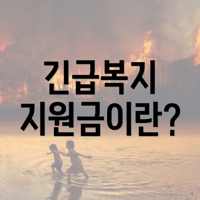 긴급복지 지원금이란?