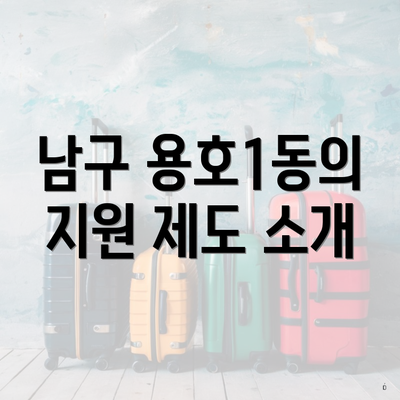 남구 용호1동의 지원 제도 소개