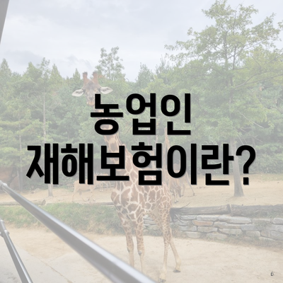 농업인 재해보험이란?