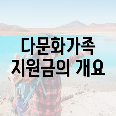 다문화가족 지원금의 개요