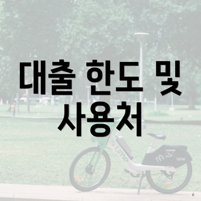 대출 한도 및 사용처