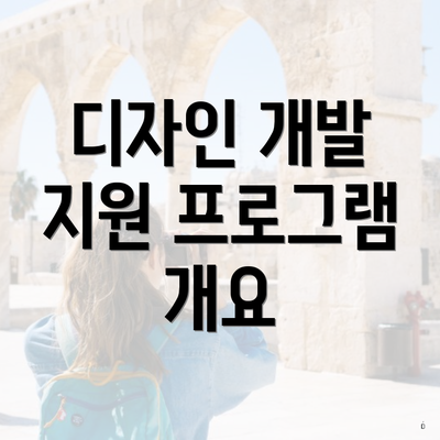 디자인 개발 지원 프로그램 개요