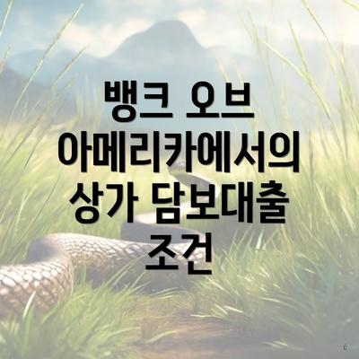 뱅크 오브 아메리카에서의 상가 담보대출 조건