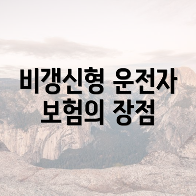 비갱신형 운전자 보험의 장점