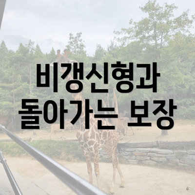 비갱신형과 돌아가는 보장