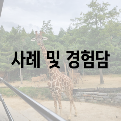 사례 및 경험담