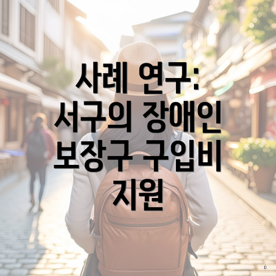 사례 연구: 서구의 장애인 보장구 구입비 지원