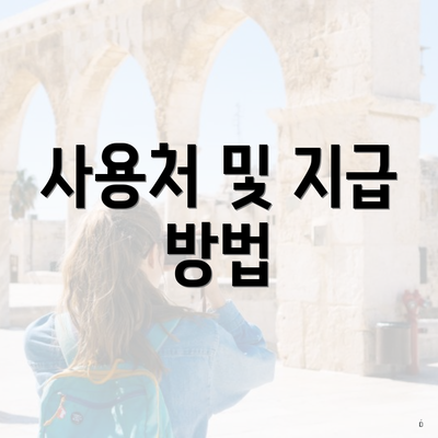 사용처 및 지급 방법