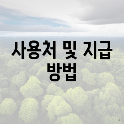 사용처 및 지급 방법