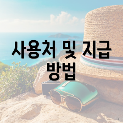 사용처 및 지급 방법