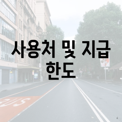 사용처 및 지급 한도