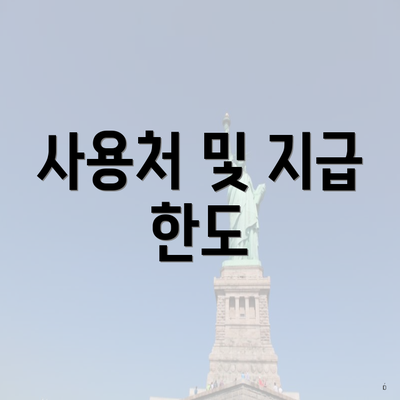 사용처 및 지급 한도