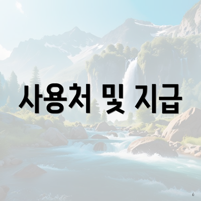 사용처 및 지급