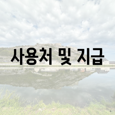 사용처 및 지급