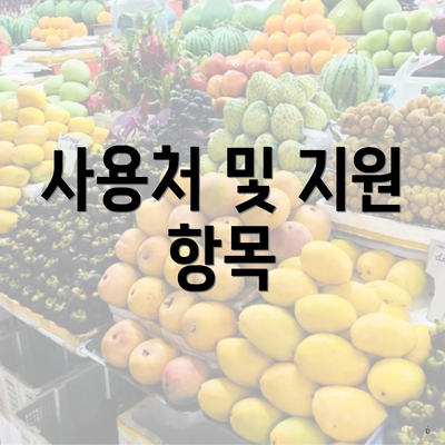 사용처 및 지원 항목