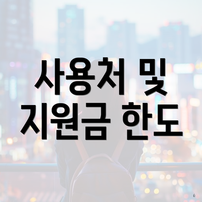 사용처 및 지원금 한도