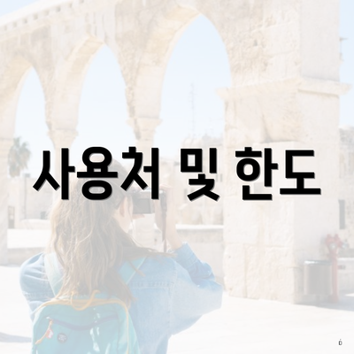 사용처 및 한도