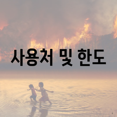 사용처 및 한도
