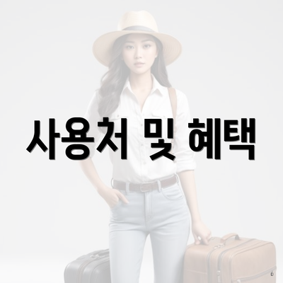 사용처 및 혜택