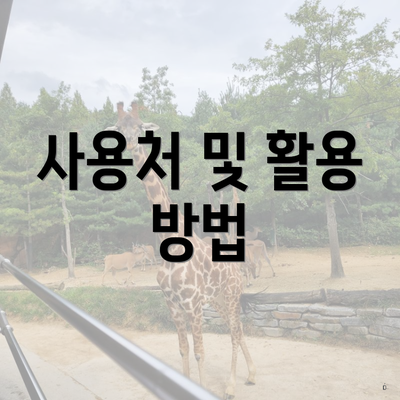 사용처 및 활용 방법