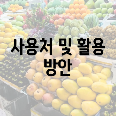 사용처 및 활용 방안