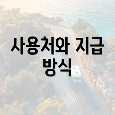 사용처와 지급 방식