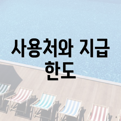 사용처와 지급 한도