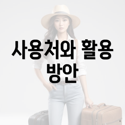 사용처와 활용 방안