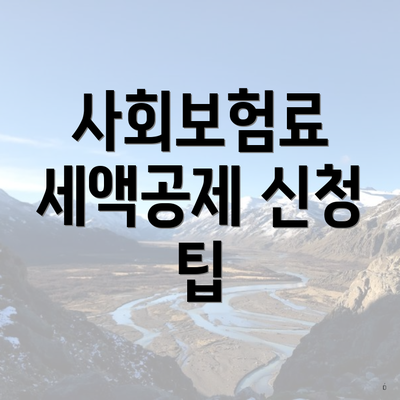 사회보험료 세액공제 신청 팁