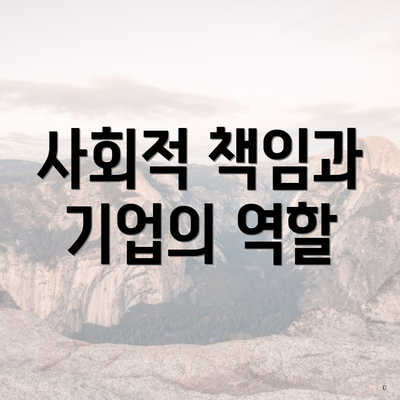 사회적 책임과 기업의 역할