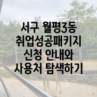서구 월평3동 취업성공패키지 신청 안내와 사용처 탐색하기