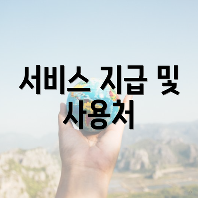 서비스 지급 및 사용처