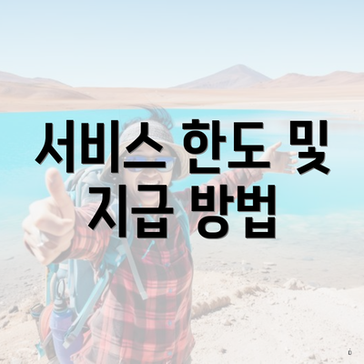 서비스 한도 및 지급 방법