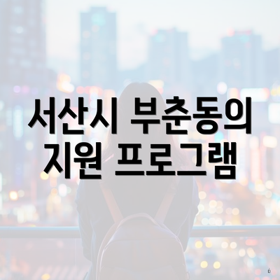 서산시 부춘동의 지원 프로그램