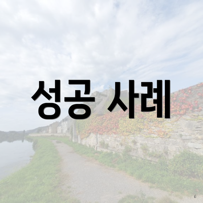 성공 사례