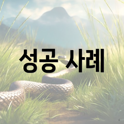 성공 사례