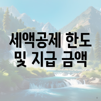 세액공제 한도 및 지급 금액