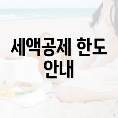 세액공제 한도 안내