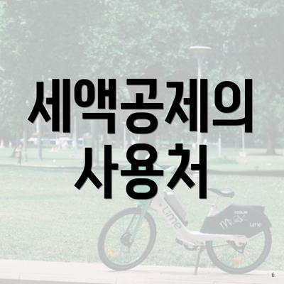 세액공제의 사용처