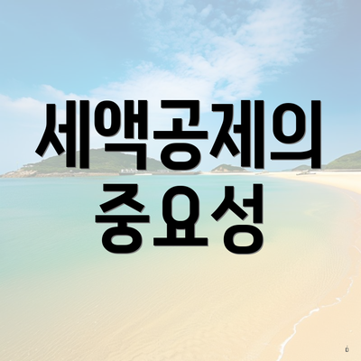 세액공제의 중요성