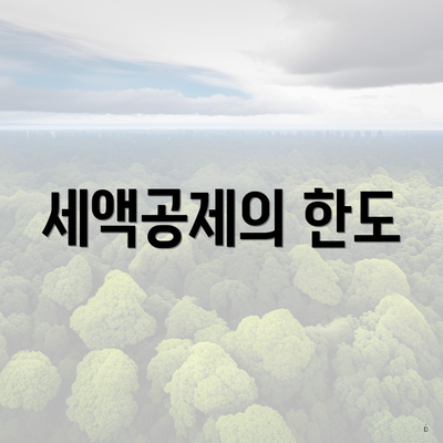 세액공제의 한도