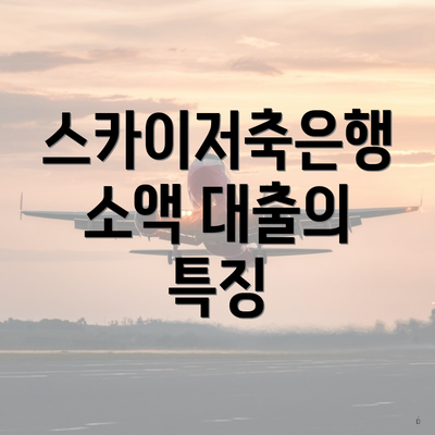스카이저축은행 소액 대출의 특징