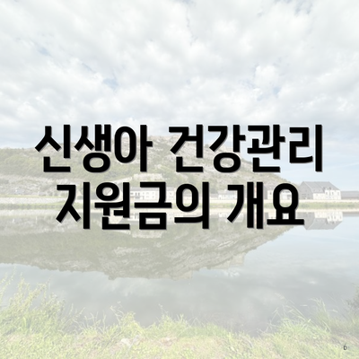 신생아 건강관리 지원금의 개요